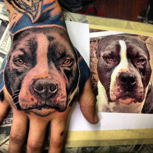Pitbull Hand Tattoo