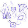 Cat sketches