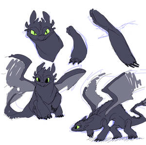 HTTYD - Toothless 2