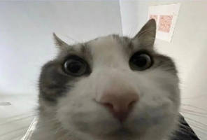 Ee7