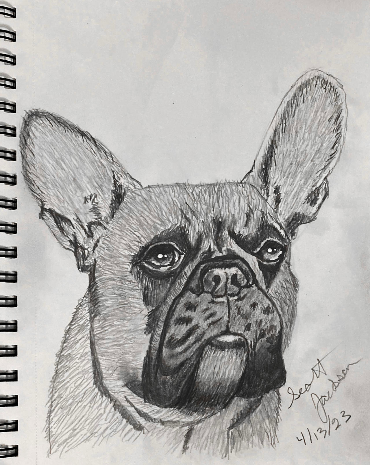 French Bulldog Sketch By Sejphotography On DeviantArt french-bulldog-sketch-by-sejphotography-on-deviantart