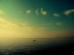 Sweet disposition by inkpot-lamp