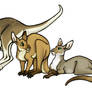 Australis Plains Kangaroos