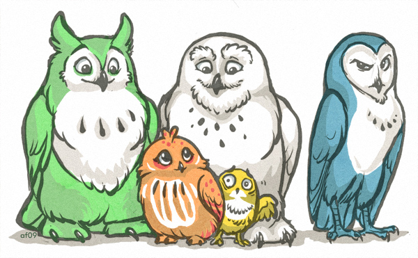 Owl in the Family