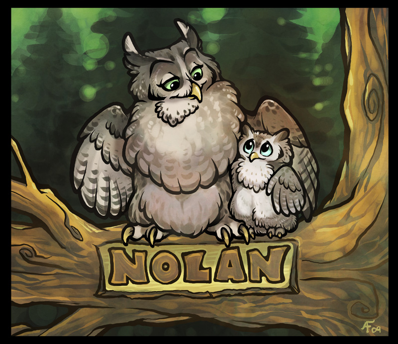 Owls for Nolan