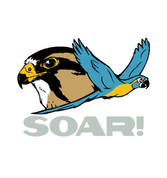 SOAR! - Pocket Logo