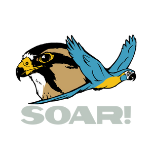 SOAR! - Pocket Logo