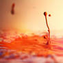 Orange Ink Drop