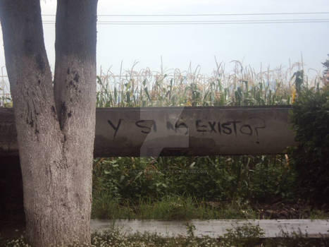Y si no existo? / And if I don't exist?
