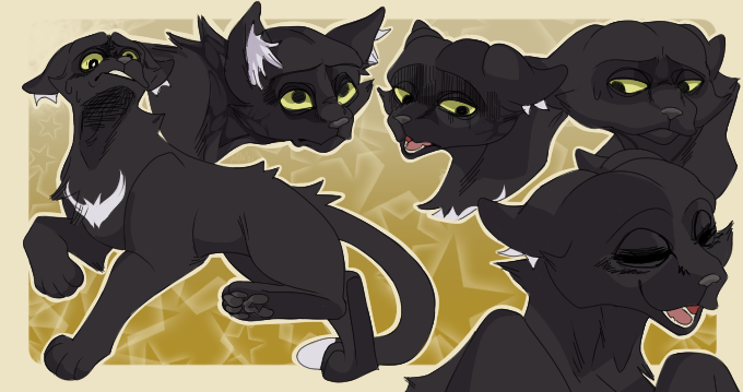 Warrior Cats] Ravenpaw Style Test REDO by dogabba on DeviantArt