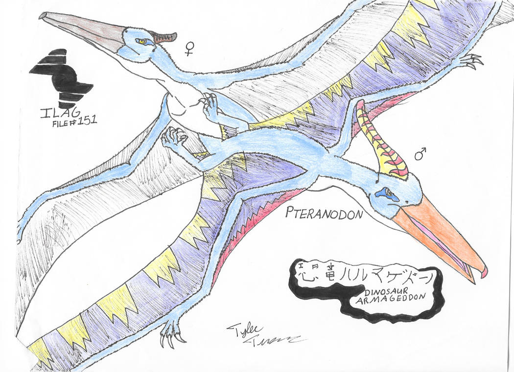 ILAG File 151 Pteranodon by ryuzamegacharizardx on DeviantArt