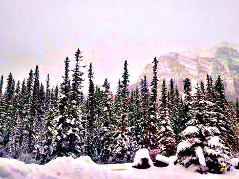 Winter in Lake Louise