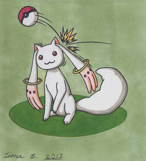 A wild Kyubey has appeared