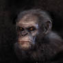 War for the Planet of the Apes- Villain Concept