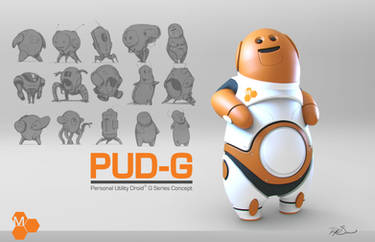 PUD-G concept