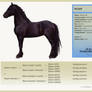 Friesian horse CODAH