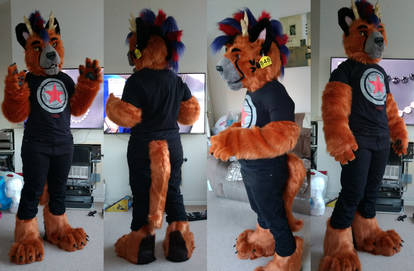 Keyoto fursuit finished