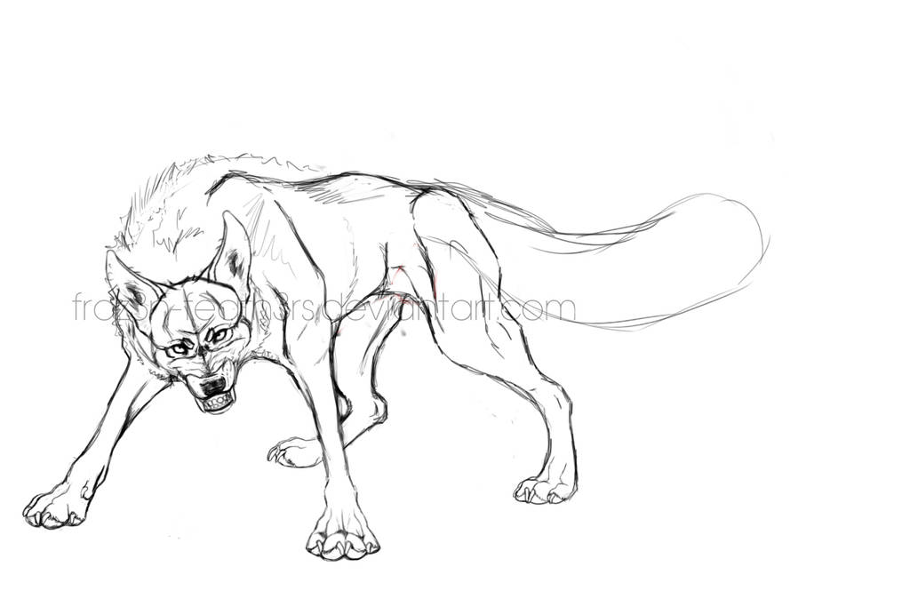 Wolf Sketch by FROZ3N-FEATH3Rs Wolf Sketch by FROZ3N-FEATH3Rs