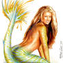 Beautiful Mermaid