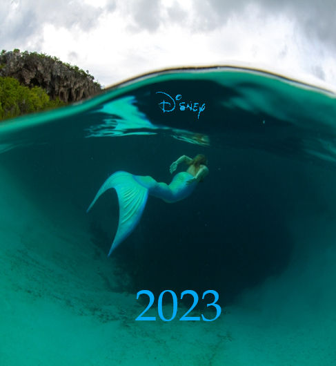 Fan-Made The Little Mermaid Remake Teaser Poster by movieliker236 on