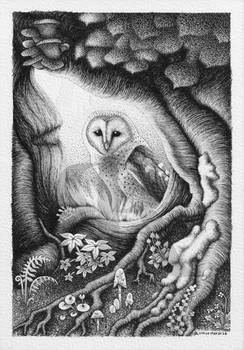 owlhole BW