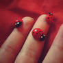 Lady bug2