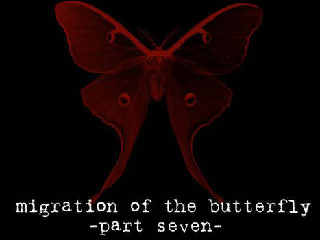 Migration of the Butterfly, 7