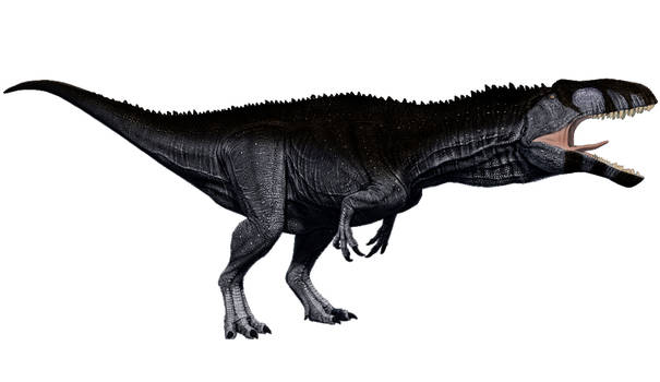 Glen Rose Acrocanthosaurus