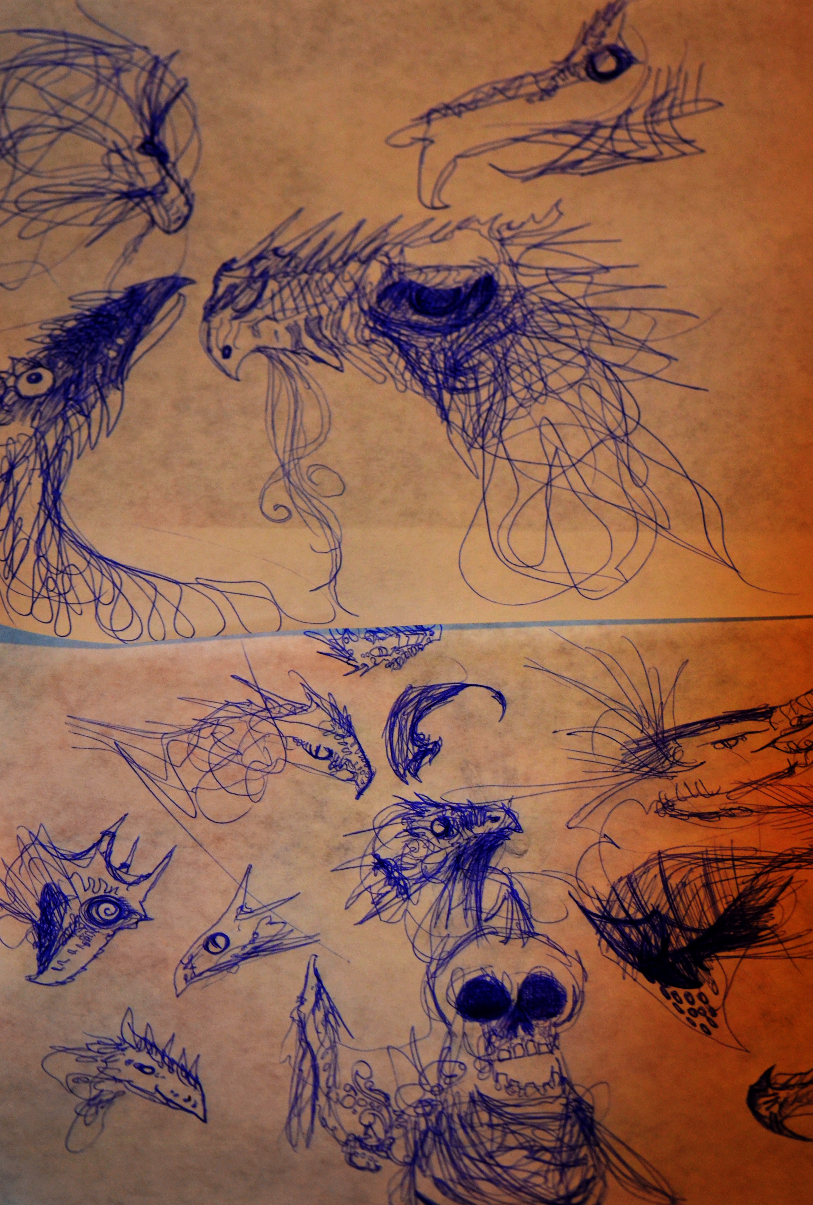 dragon doodles 1