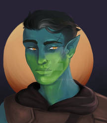 Fjord Redraw