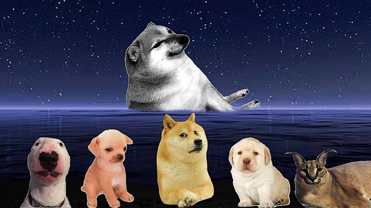 Cheems by Gameplayspro02 on DeviantArt