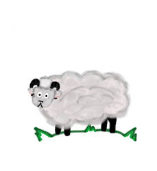 Sheep