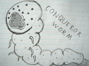 Conqueror Worm