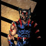 AOA Wolverine colored