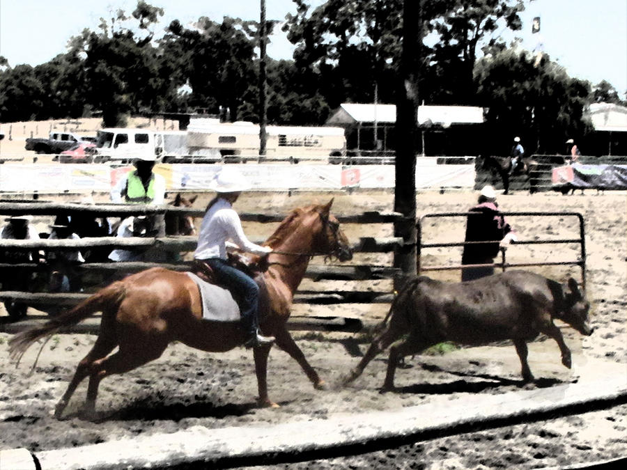 Campdrafting by thebluedragonstoleme on DeviantArt