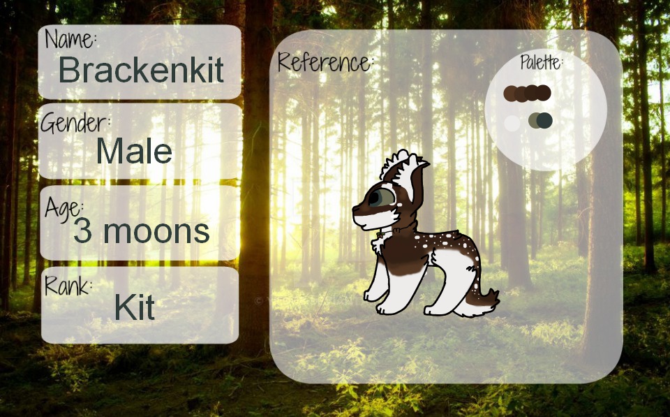 Brackenkit app