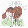 Dire Spirit