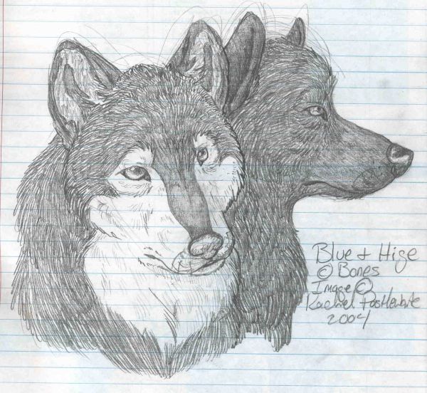 Wolf's Rain: Blue and Hige