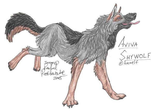 Gift: Aviva ShyWolf