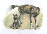 African Wild Dogs by NightTracker