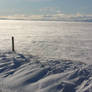 Windy Winter Day in the country