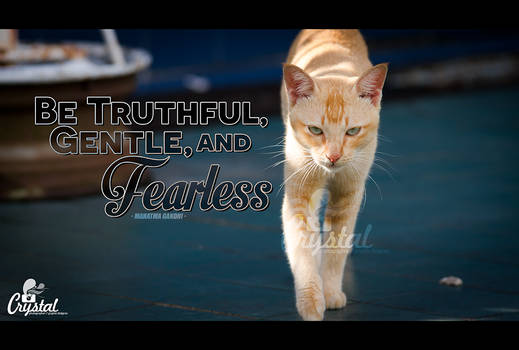 Fearless