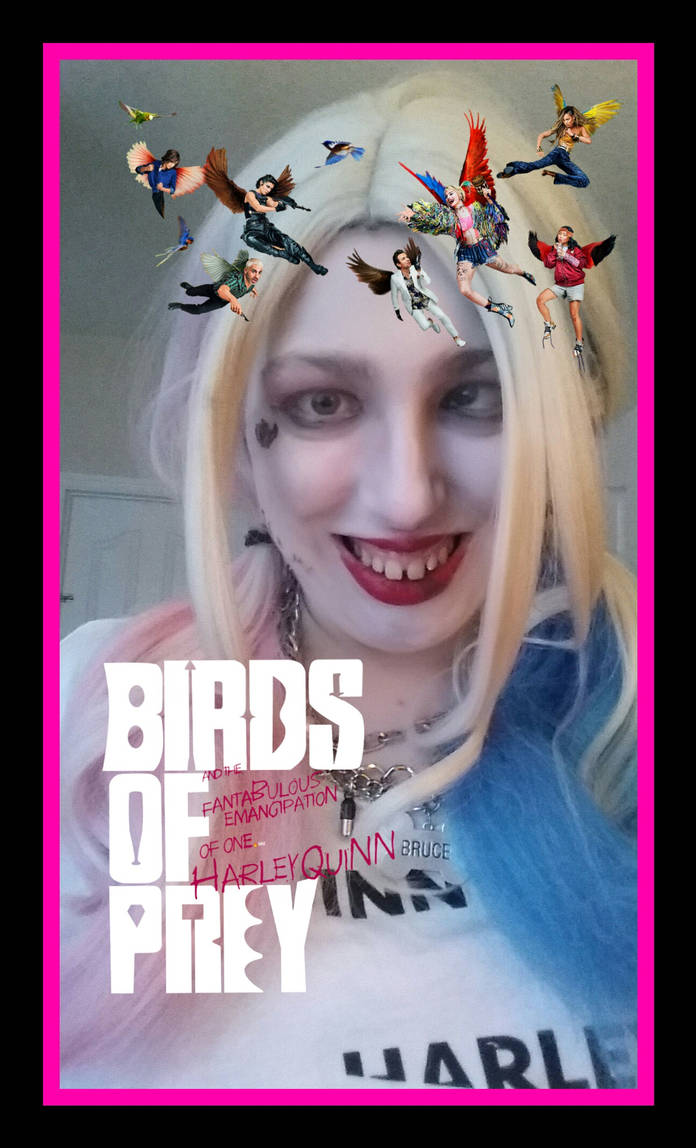 birds of prey Harley by angelgirlfan on DeviantArt