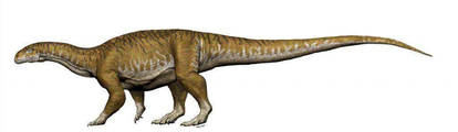 Dinosaur Profile: Ingentia Prima