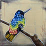 Hummingbird #5