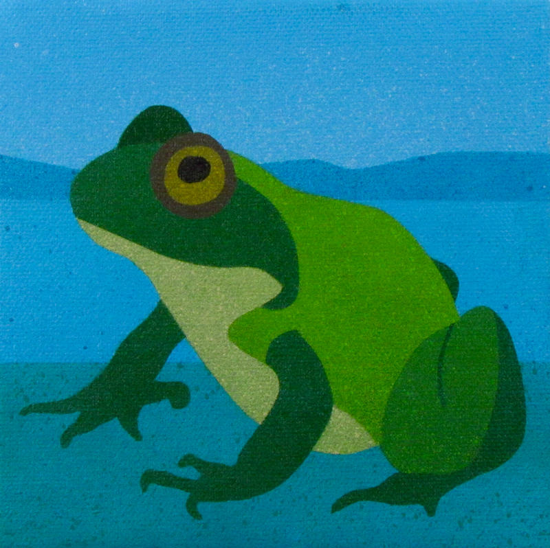 American Bullfrog by TetraModal on DeviantArt