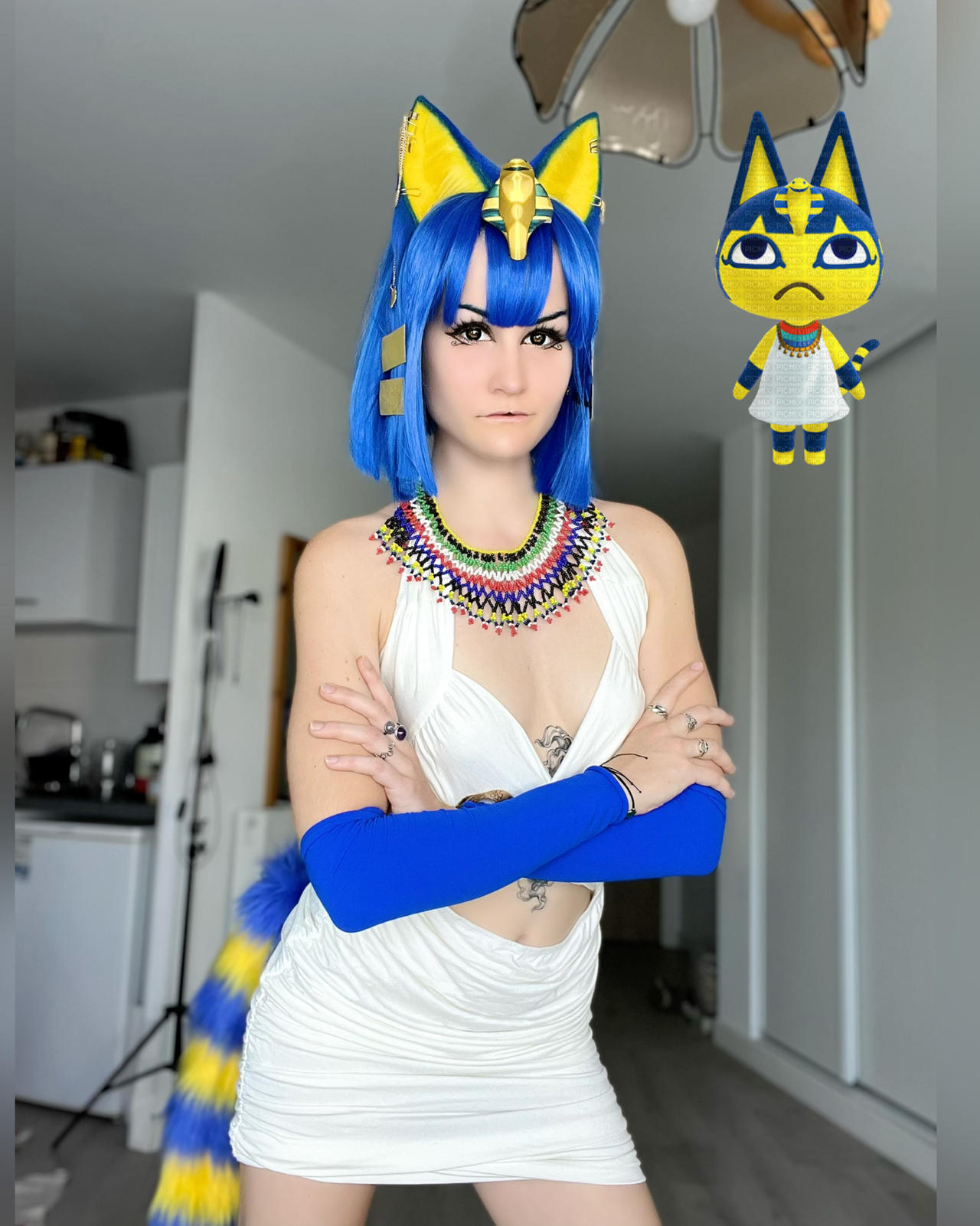 Ankha Zone Link Twitterindex - 4s421ky