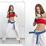 Karate Fighter - Mela