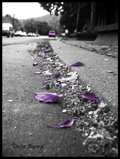 purple autumn