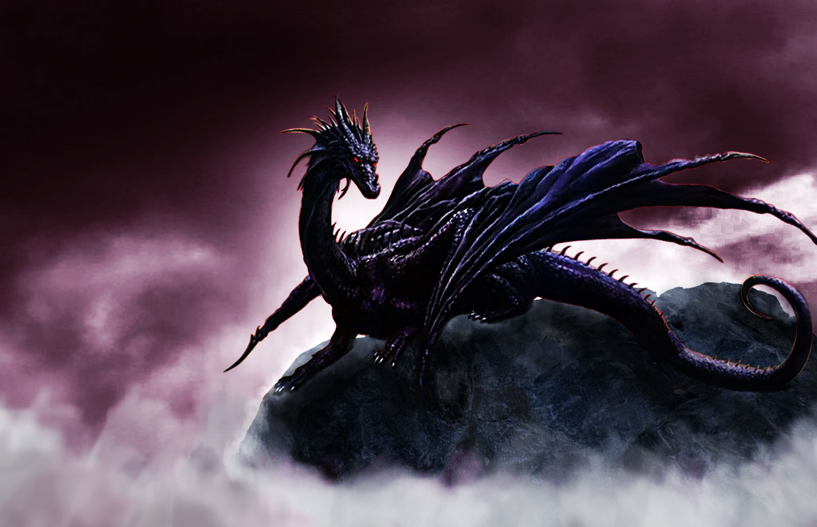 Dragon Manipulation Dragon photo manipulation by aiteo on DeviantArt